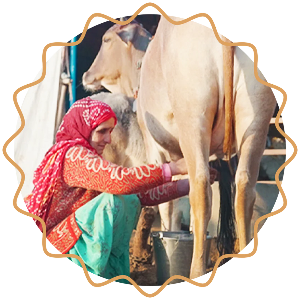 Milking with care