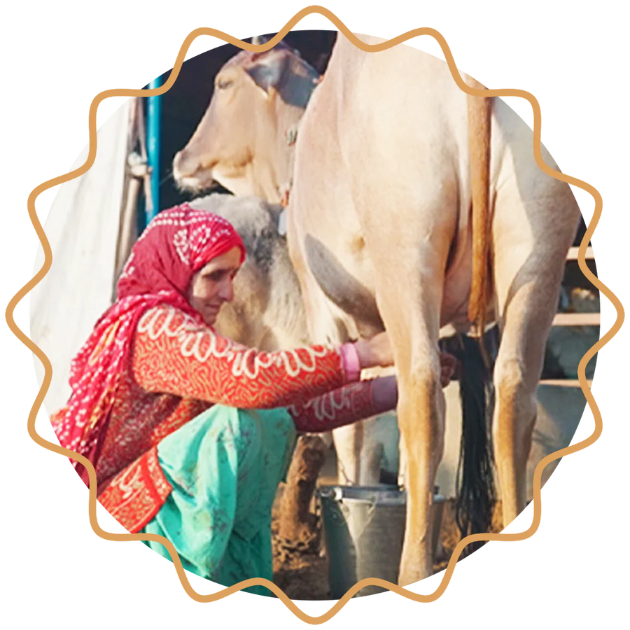 Milking with care
